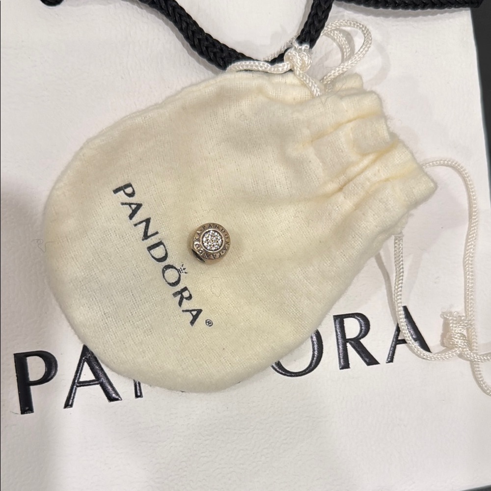 Pandora Charm with Elegant Design